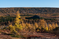 Золото осени