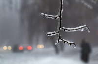 Ледяной дождь