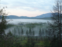 утро под сусуманом