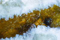 Журчат ручьи