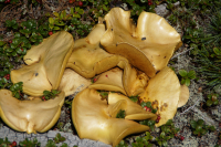 Коммуналка!