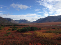 ОЗРК "Ороч" - Осень