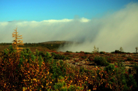 Туман надвигается