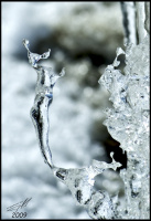 Ледяной Артемон