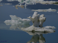 Истории о льдинах I