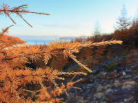 вспоминая осень