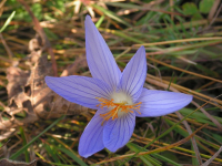 Северный Кавказ_2