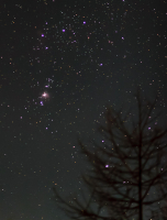 Туманность Ориона