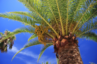 мечты сбываются:)