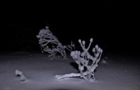 ночная морозная