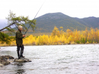 Одинокий рыбак