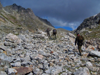 Штурмуя Небо