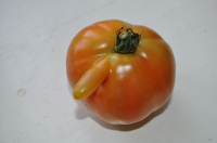 помидор