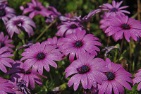 после ливня