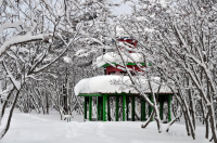 Зима в парке