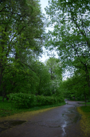 Во время дождя