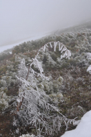 был месяц май.....