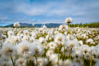 Позитивчик 2