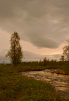 Июньский вечер