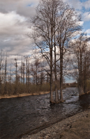 Бунтарский дух