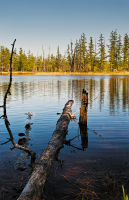 Ничто не вечно ...