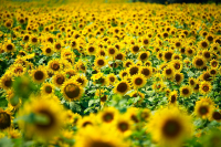 бесконечное