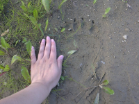 здесь был я......