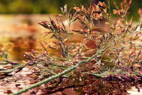 Я для себя придумал этот мир...