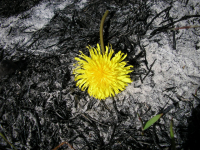 продолжение