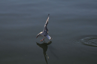 Нулевая отметка