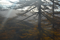 Чот накатило 4