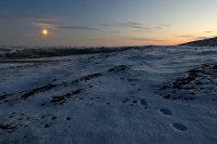 Заполярные зарисовки