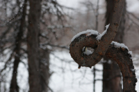 Преодолевая препятствия