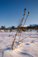 Мир, когда-то, полный смысла...