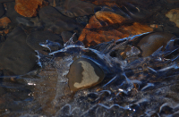 те первые морозцы