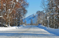 Ручей Разведчик