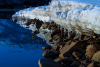 Ледяной крокодил