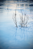 Силуэты на тающем льду