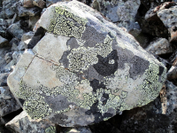 каменный пэчворк