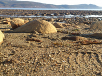 маленький и хрупкий мир