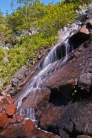 Водная соната