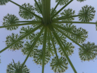 Другой взгляд