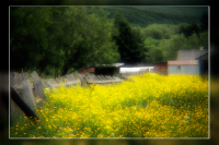 На задворках реальности...