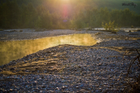 Прохладное утро