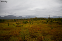 "Доброе утро"