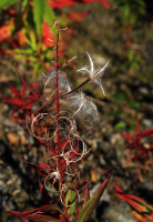 паруса по ветру