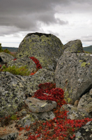 Вечный покой....