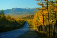 дорога Ола-Магадан