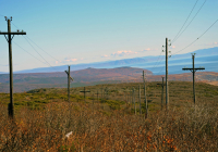 Стройными рядами....