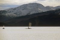 Очень горячее дыхание